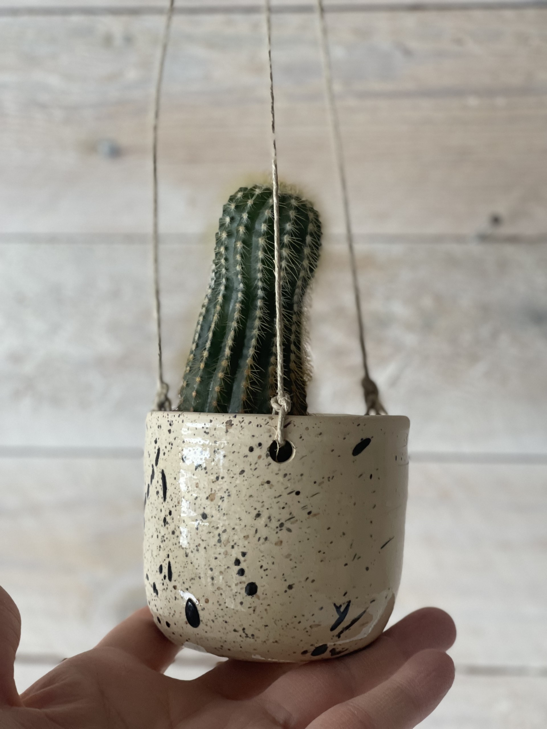 CLAY hangingpot