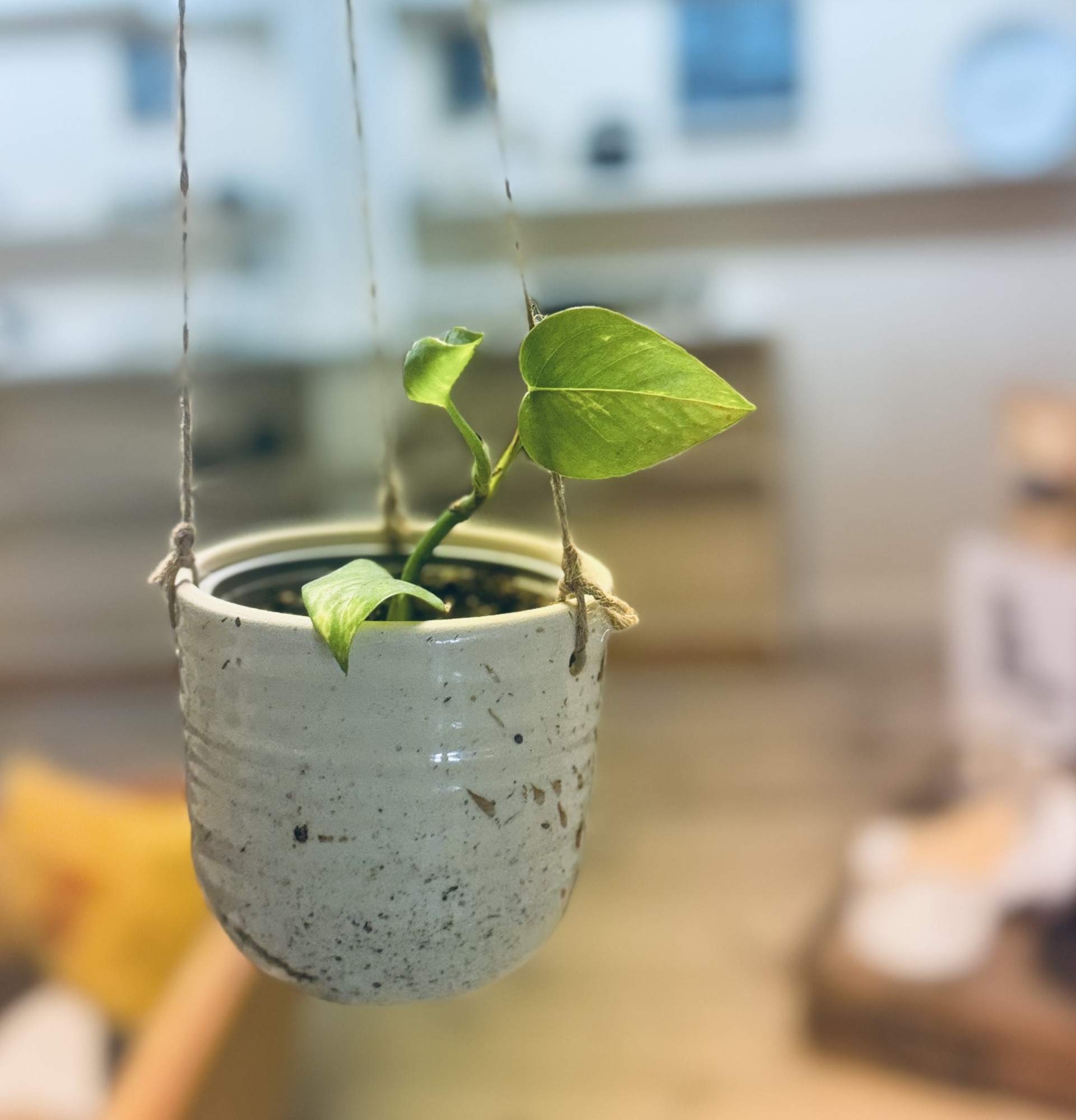 CLAY hangingpot - 3