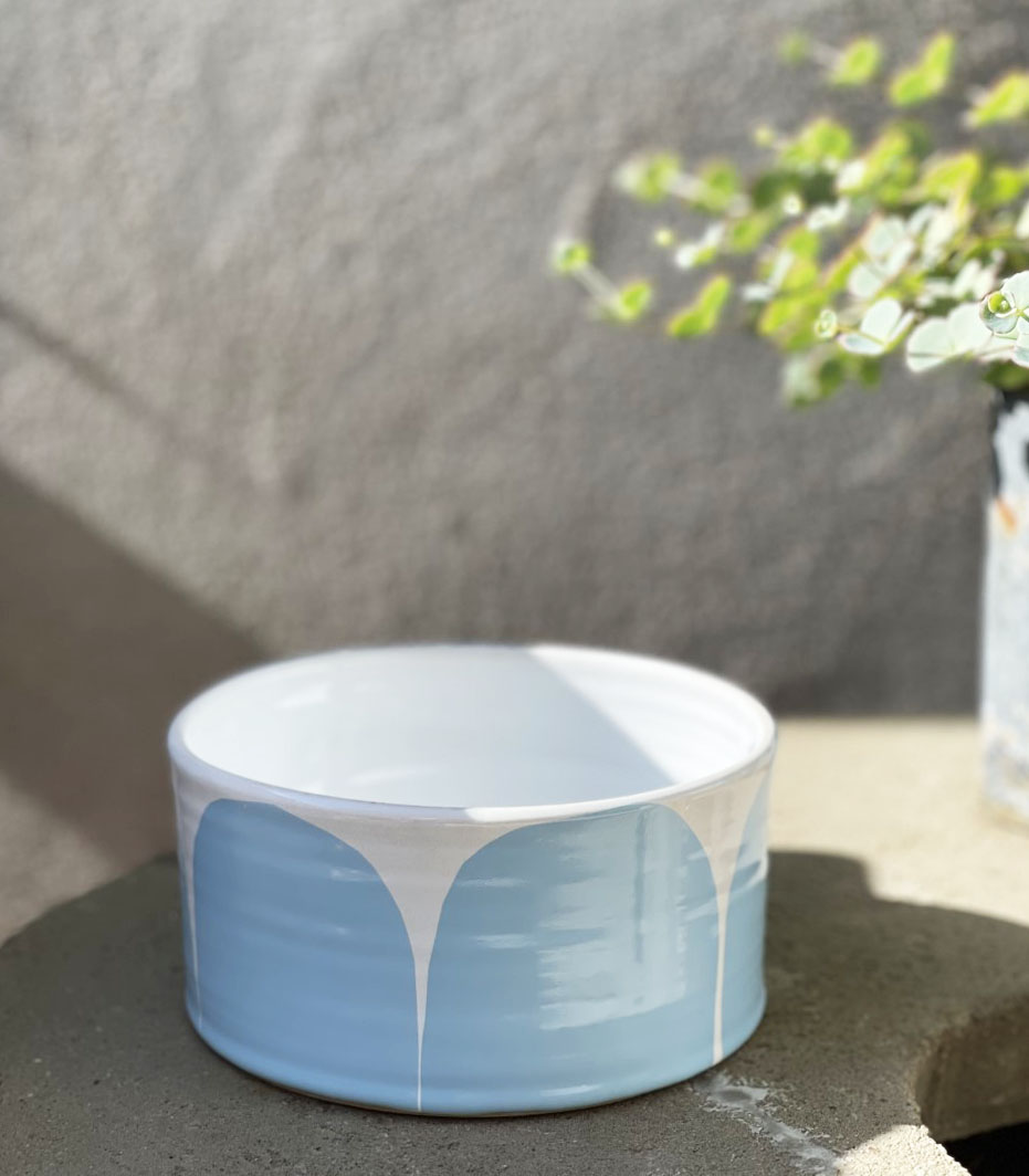 THE BUMP  bowl