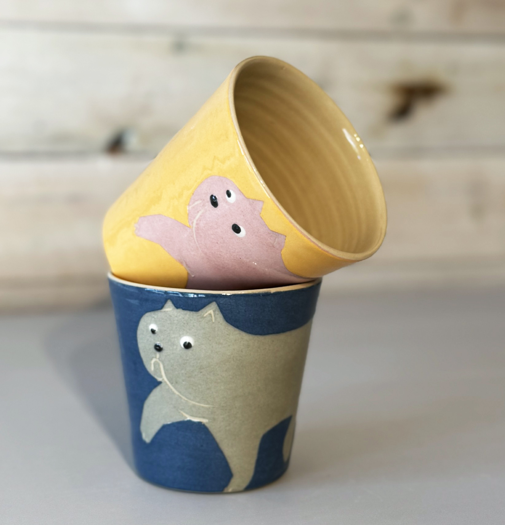 ANIMALCUP cat - 6