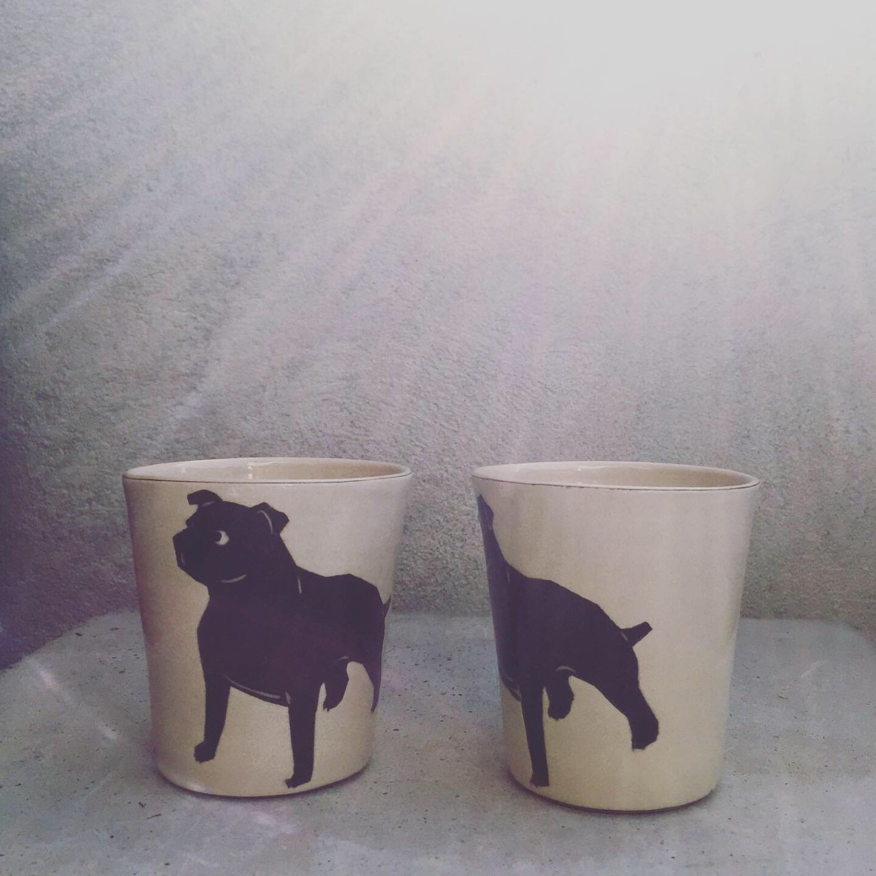 ANIMALCUP Staffordshire bullterrier - 4