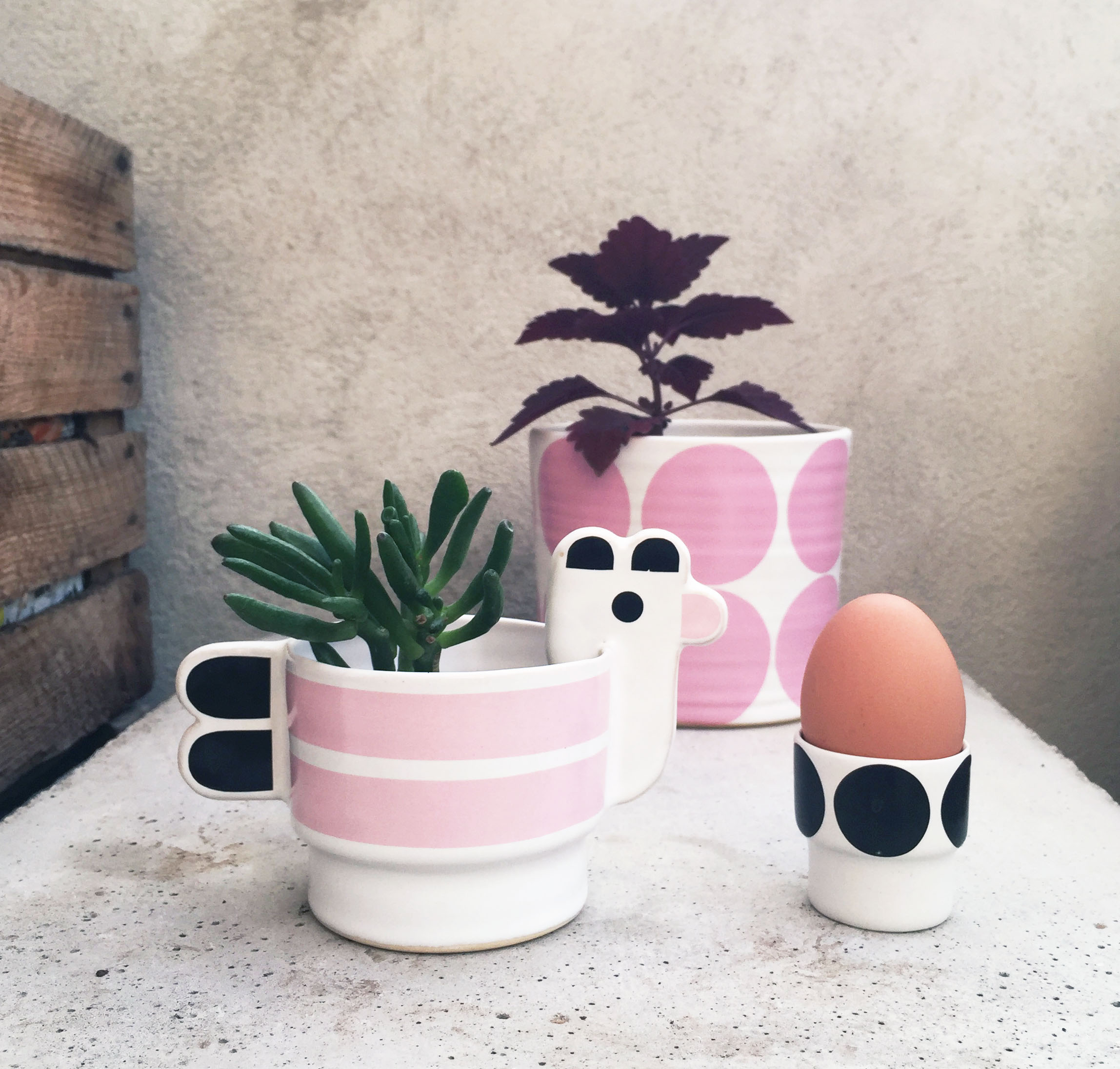AGDA -  small hen - 3