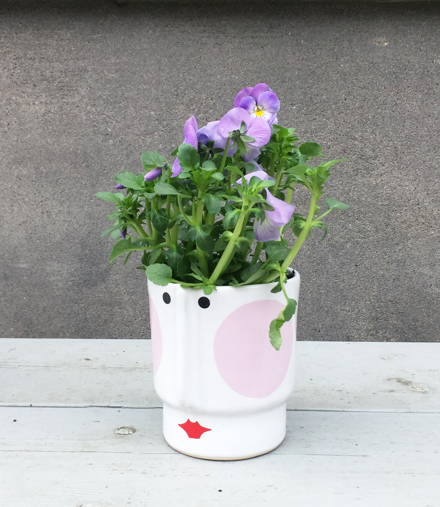 HEDVIG small pot - 5