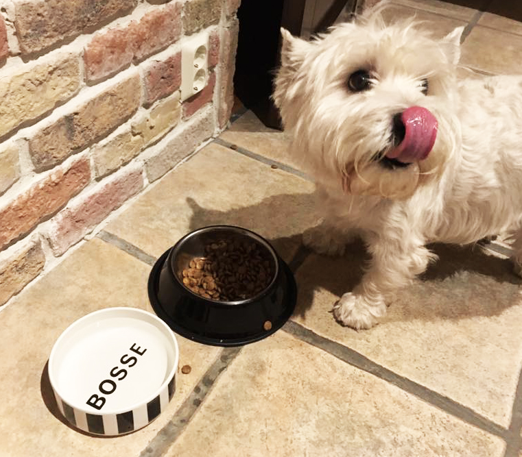 FIDO skål med namn - 7