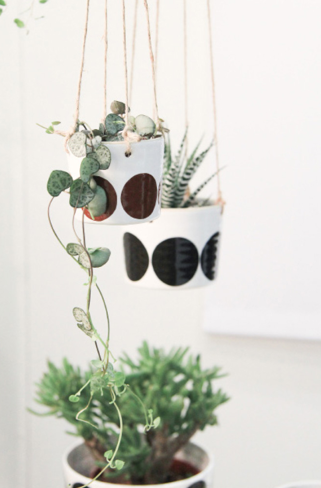 Plants
