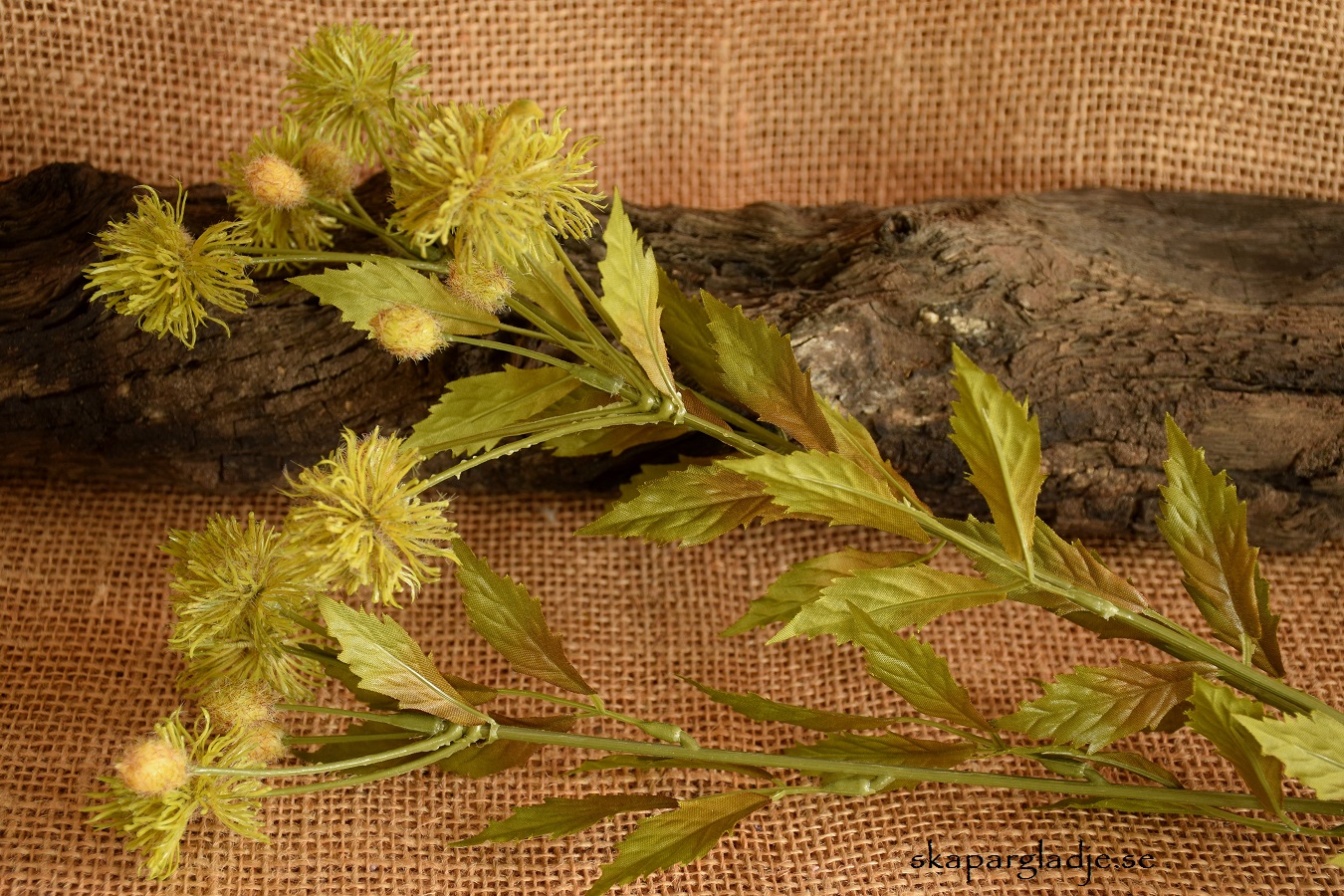 Blomkvist "Tistel" Konstväxt - 4