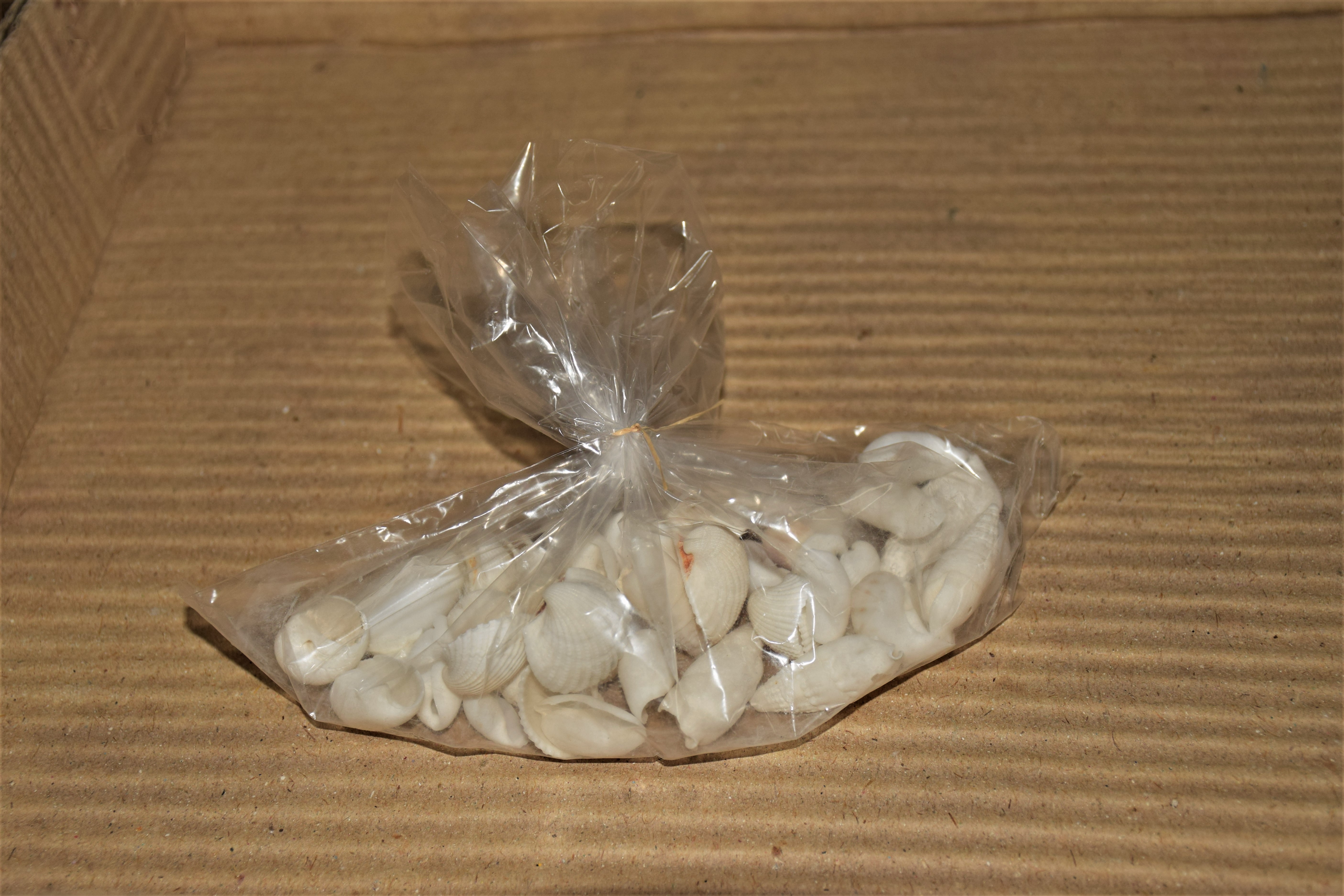 Snäckor Vita Mix 1-5cm Olika Strl/Förp. - 3