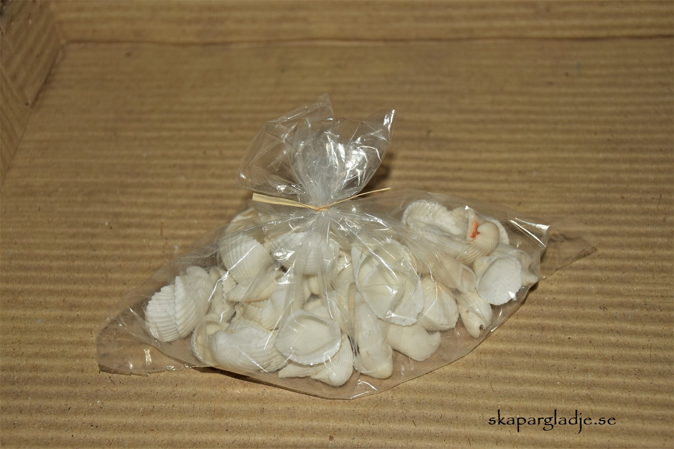 Snäckor Vita Mix 1-5cm Olika Strl/Förp. - 2