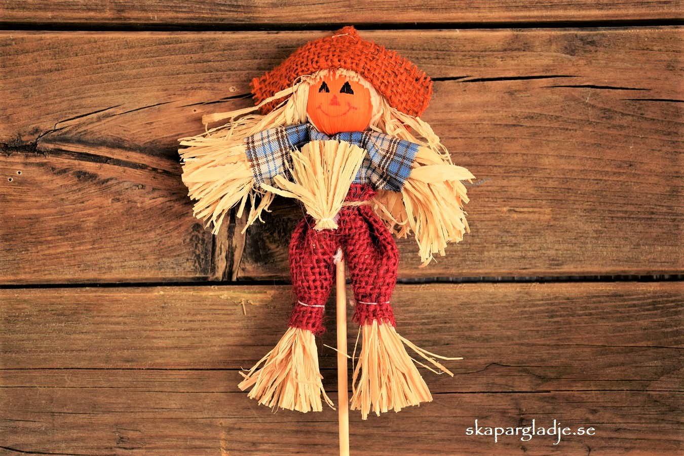 Fågelskrämma Docka Dekorations-sticks 16cm Olika Färg - 5