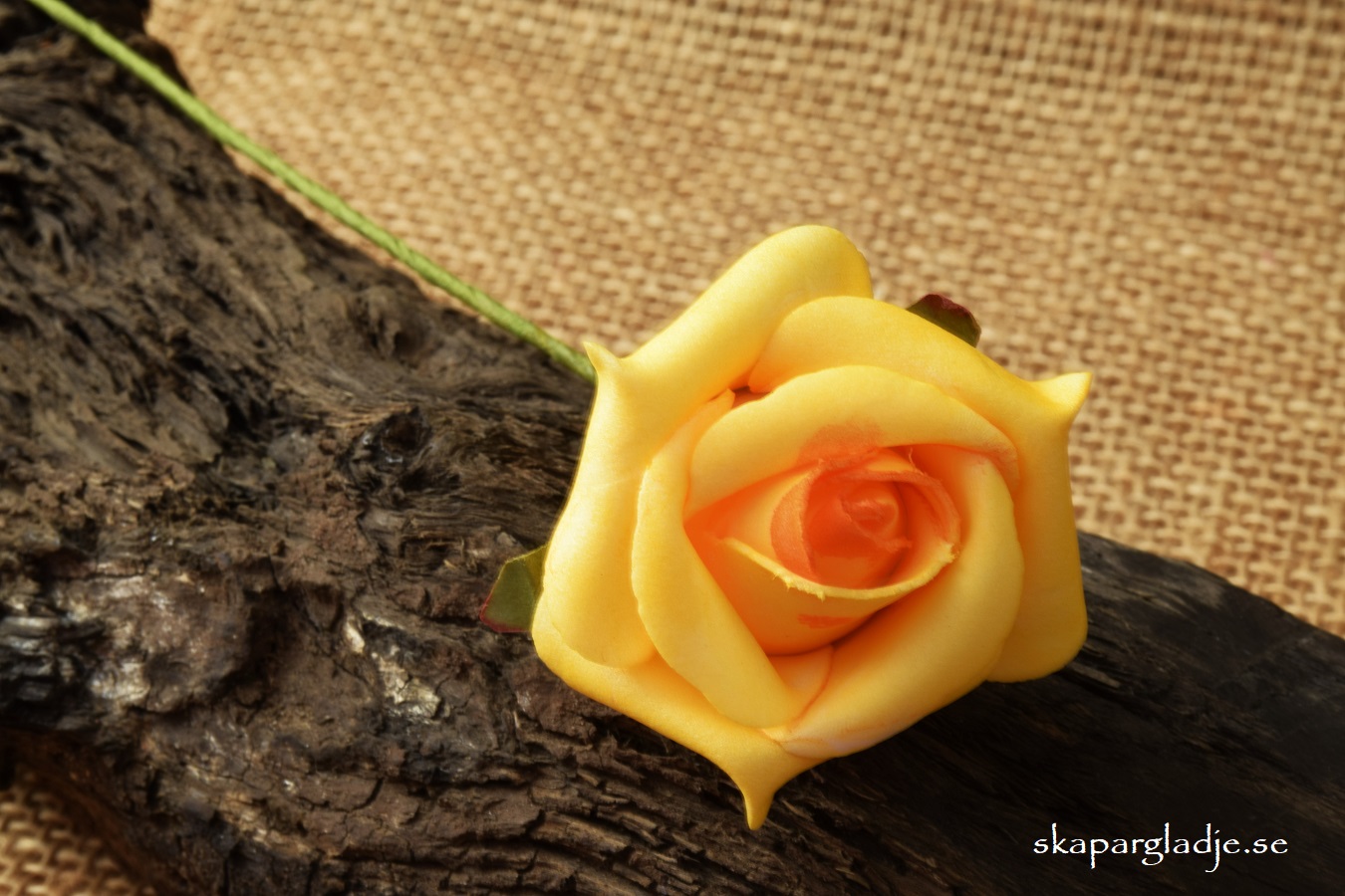 Ros Gul St/Förp. - 2
