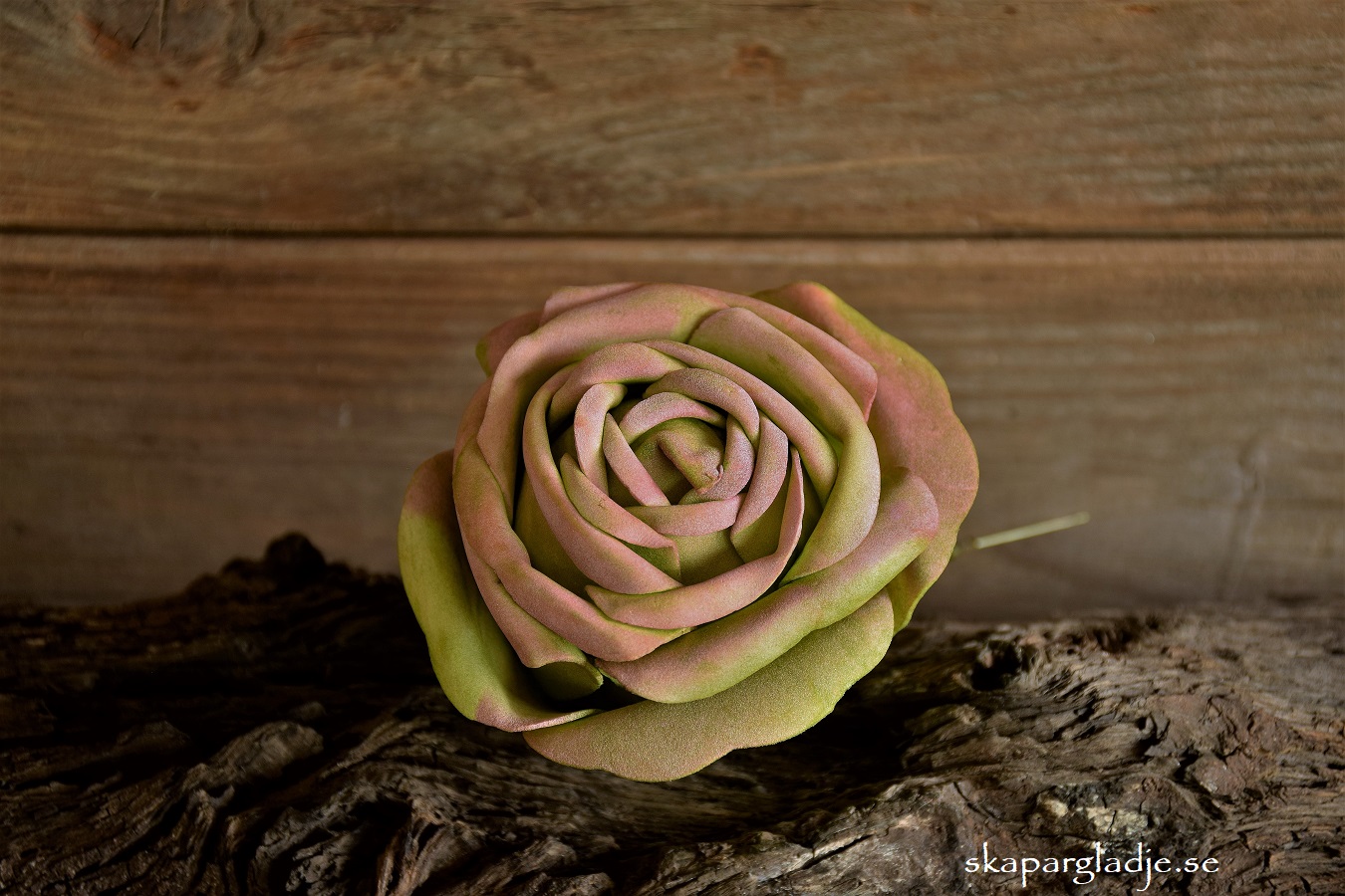 Ros Grön-rosa Trådad 7cm