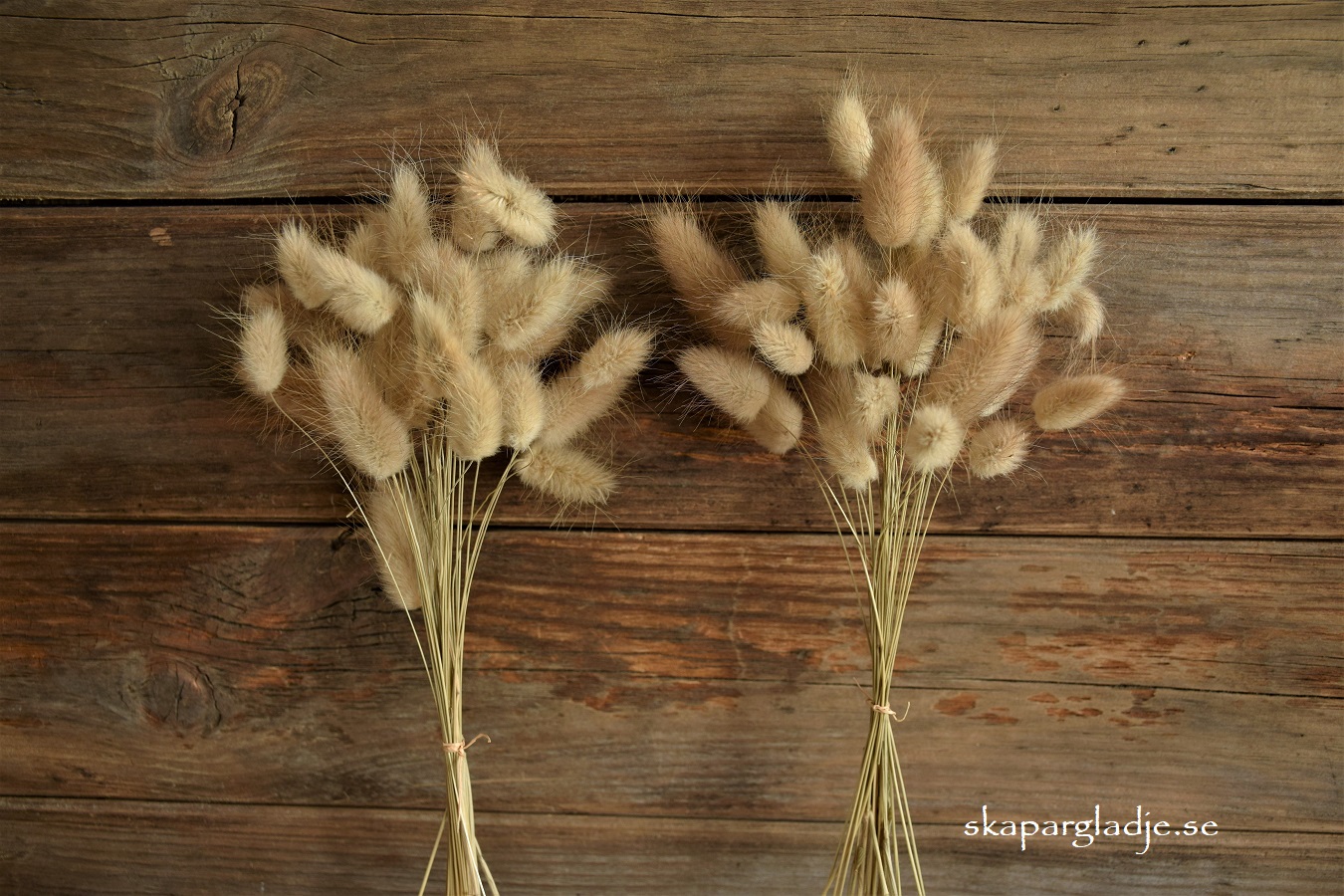 Eterneller Torkade Harsvansar 