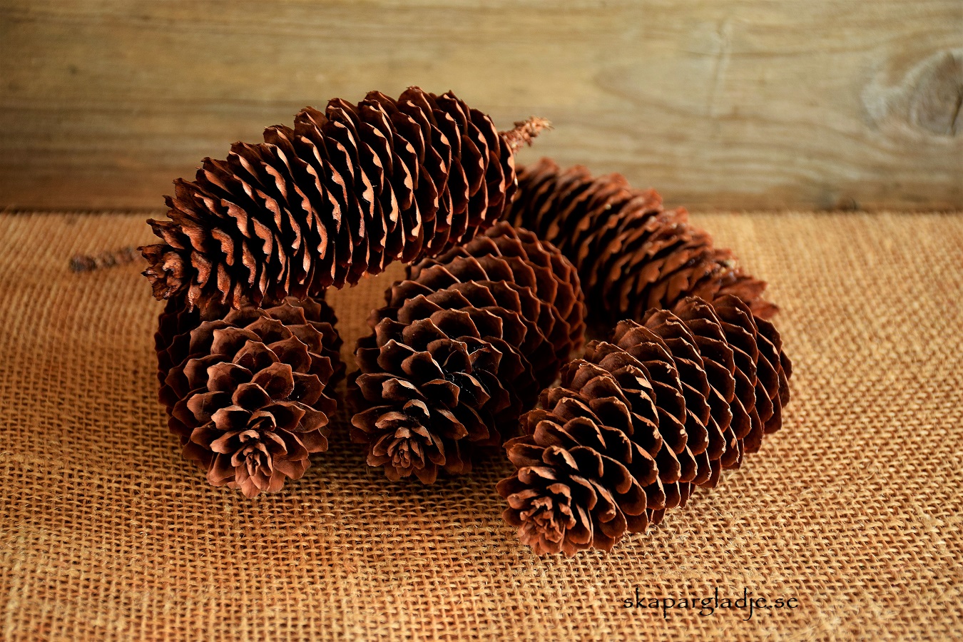 Gran-kotte 7-16cm  Naturlig St/Set Olika Strl.  Pris från - 2