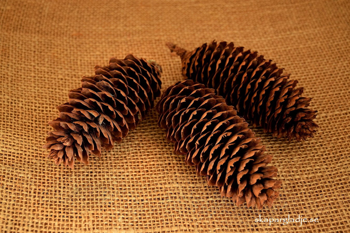 Gran-kotte 7-16cm  Naturlig St/Set Olika Strl.  Pris från