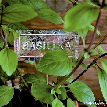 Kryddskylt Basilika i Metall