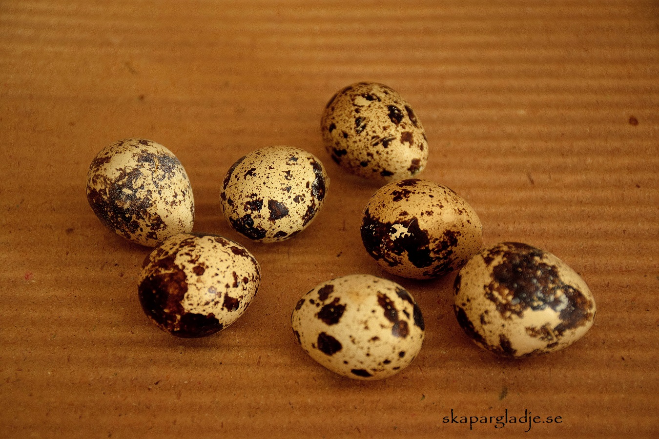 Vaktelägg  Naturfärgade  