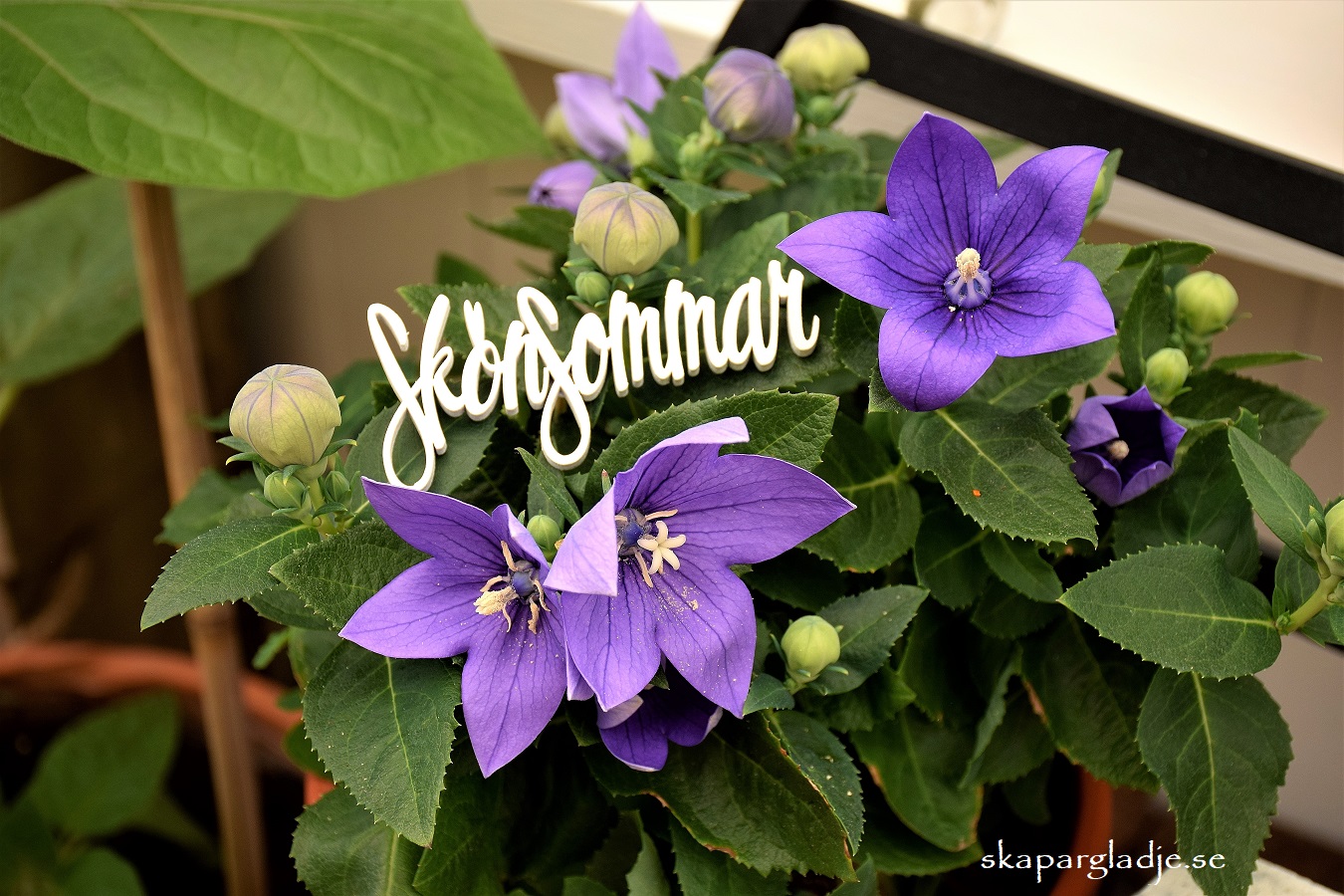 Skön Sommar Text-sticks i Blomma Dekorations-Tips
