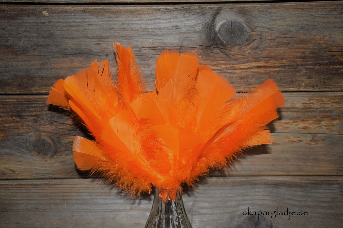 Fjädrar Orange 5fjädrar/trådad Vippa Förp om5