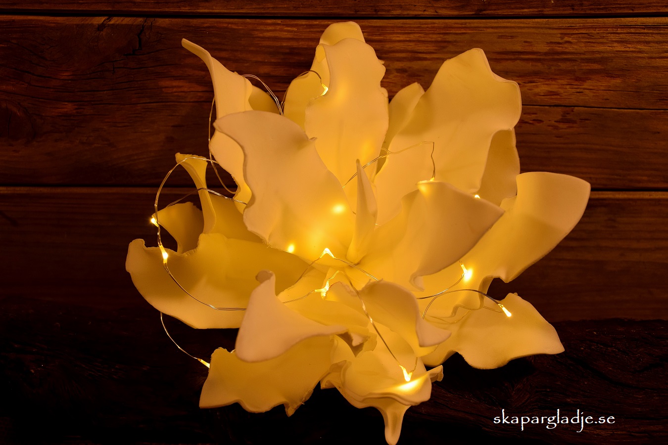 Echeveria Dekorerad med Ljusslinga som Fönsterlampa, Bordsdekoration... - 2