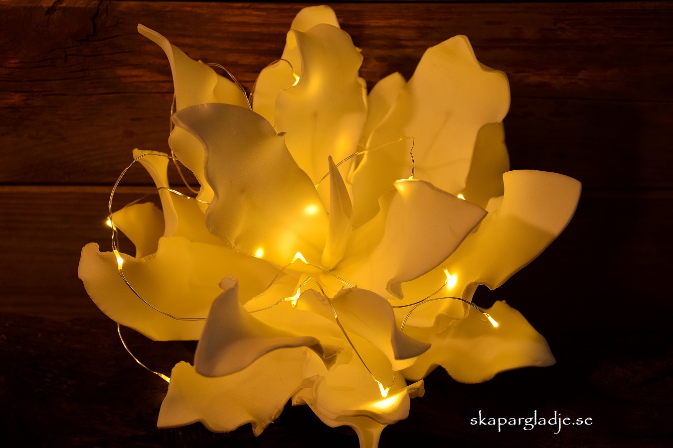 Echeveria Dekorerad med Ljusslinga som Fönsterlampa, Bordsdekoration...