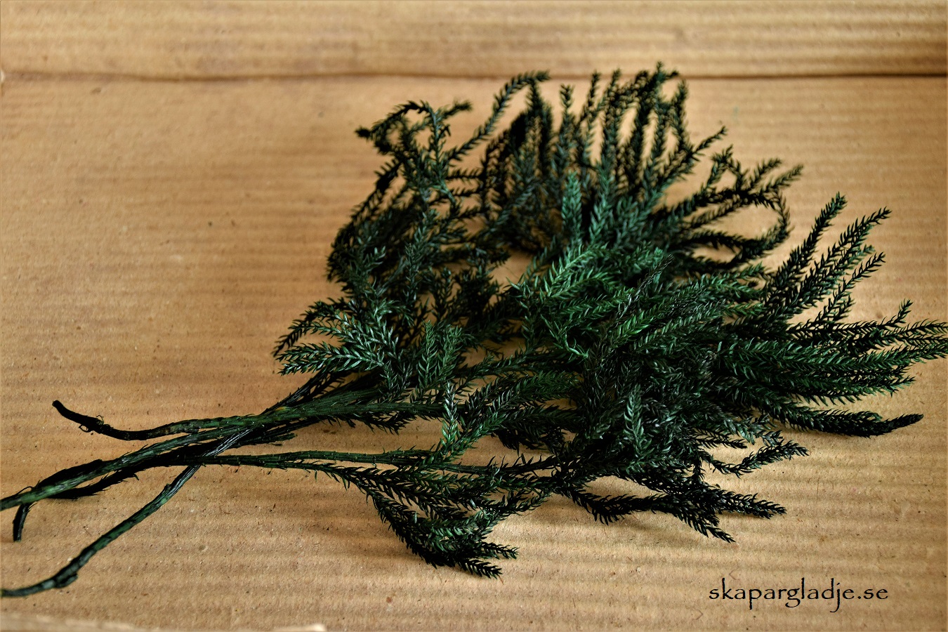 Moss-ljung Kvistar Mossgröna Konserverade  - 3