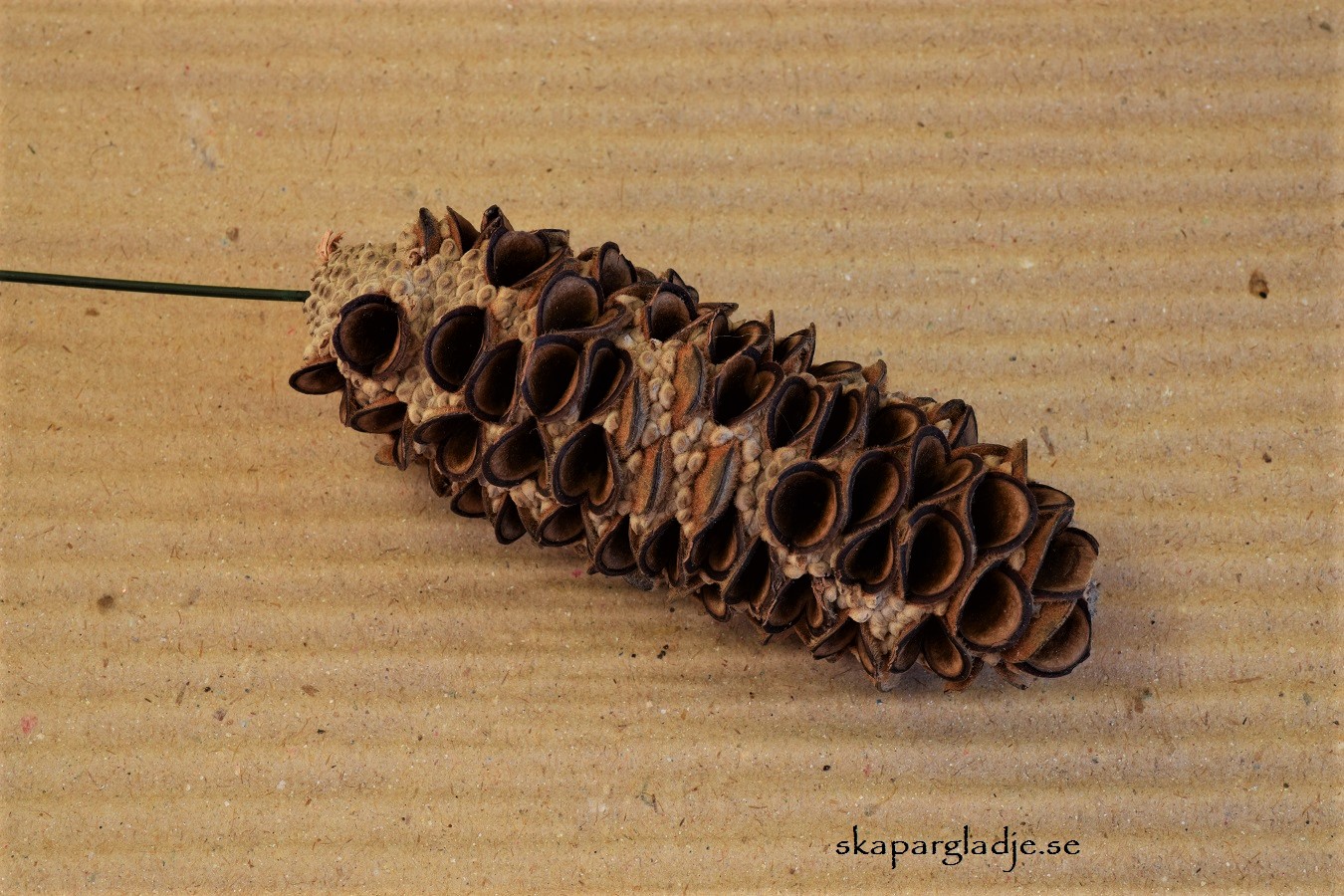 Mealy Pods Natur Sticks St/Förp. Pris från - 3