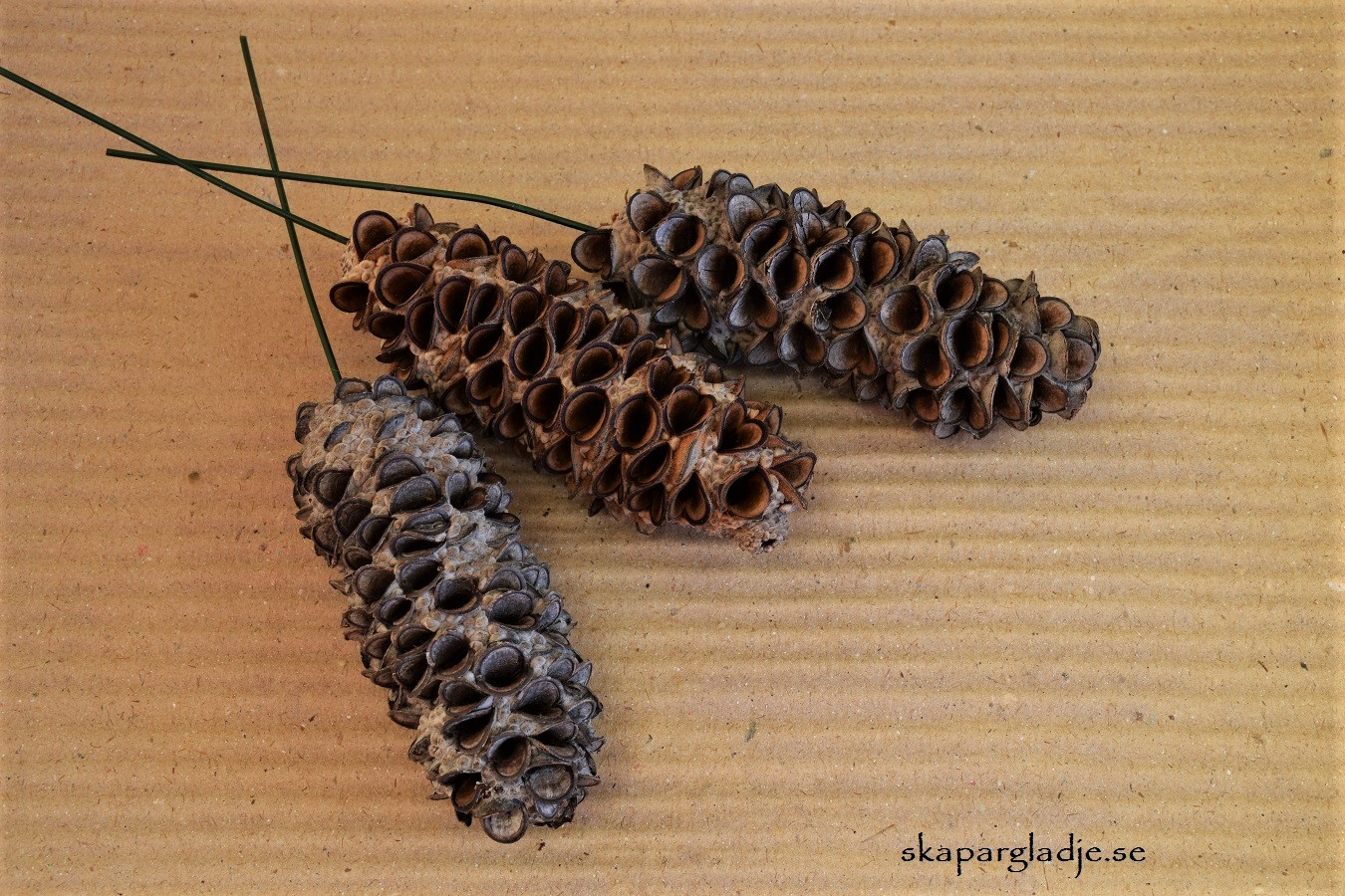 Mealy Pods Natur Sticks St/Förp. Pris från - 2