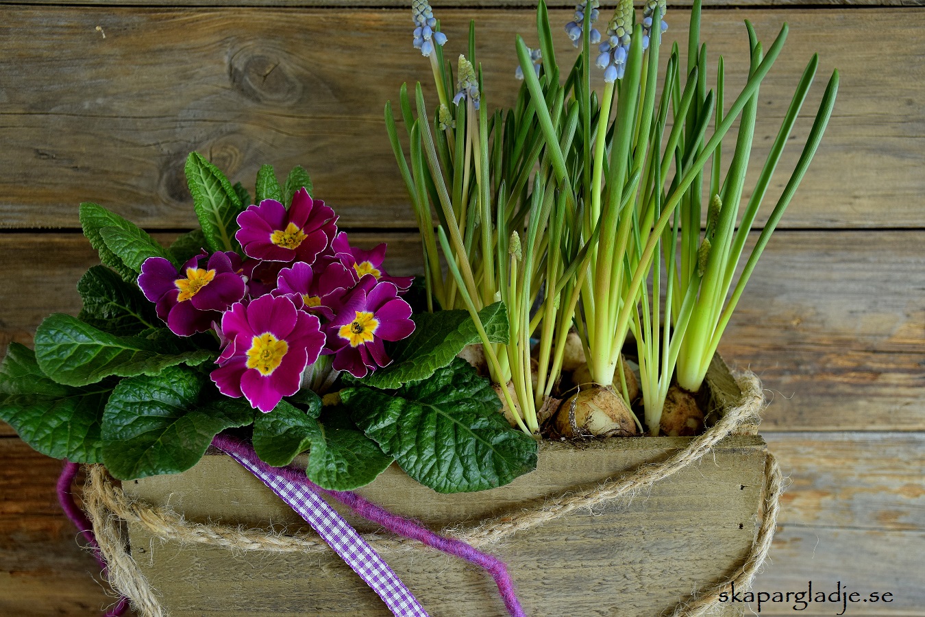Trälåda m Rephandtag, Lila-Rosa Band, Ull-garn-snöre & Planterade Blommor - Tips