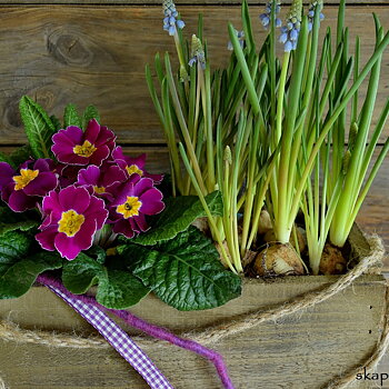 Trälåda m Rephandtag, Lila-Rosa Band, Ull-garn-snöre & Planterade Blommor - Tips