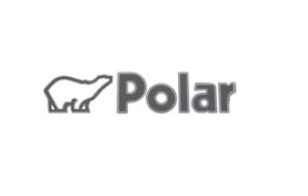 Takdekal Polar Blå / Silver - 2
