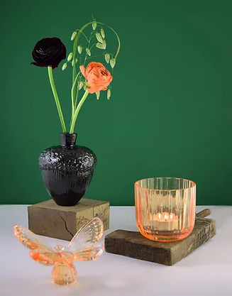Papilio Orange  - 3