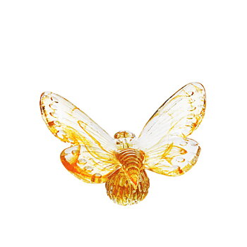 Papilio Orange