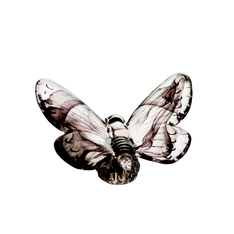 Papilio Black - 3