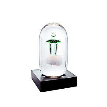 Winter Garden Verde Ltd ed 11 ex.