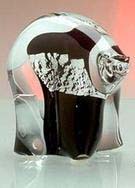 Petit Ours d'Argent - Debout