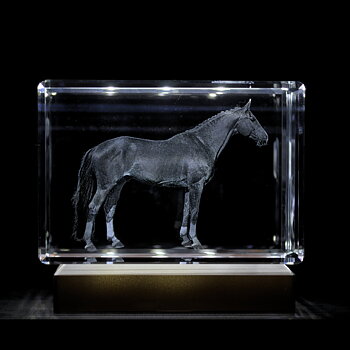 Bloque de Cristal Rectangular 3D 11x7,5x6,5 cm  Bloques de pie o acostados