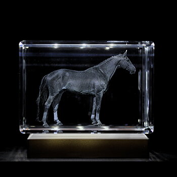 Bloque de Cristal Rectangular 3D 11x7,5x6,5 cm  Bloques de pie o acostados