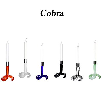 Cobra Negro Pequeño