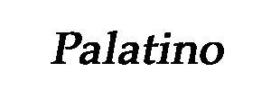 Extra 3D Engravingtext - 5
