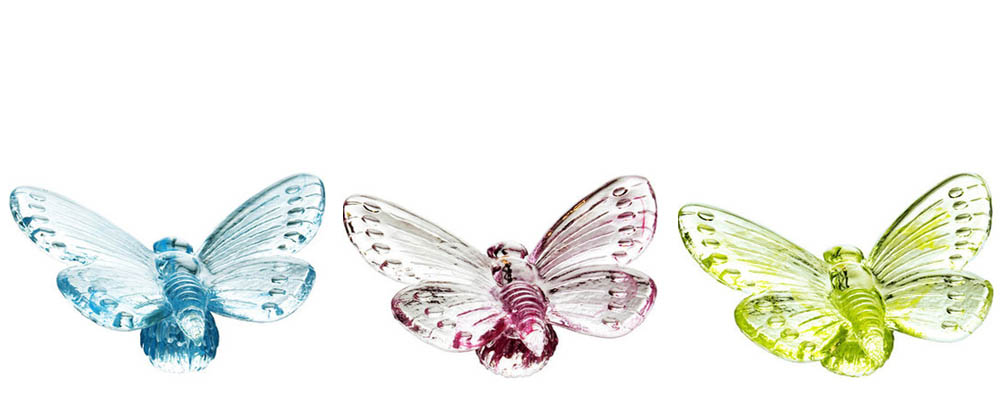 Papilio Blue - 4