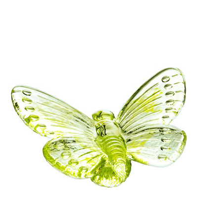 Papilio Verde