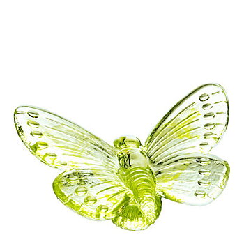Papilio Verde