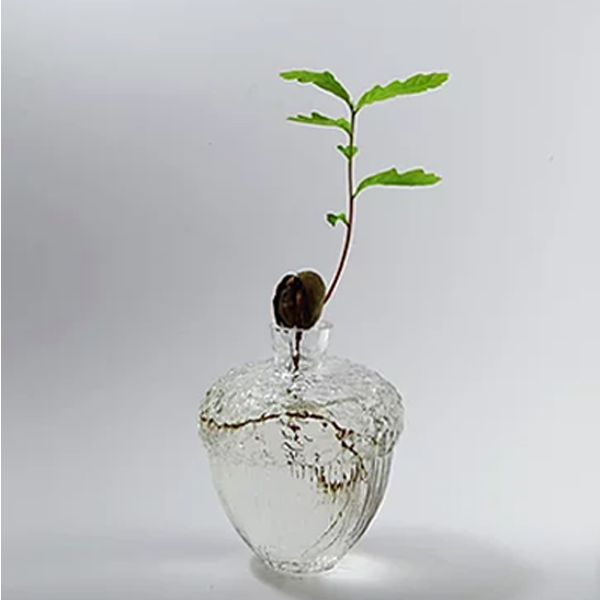 Robur Vase Green - 4