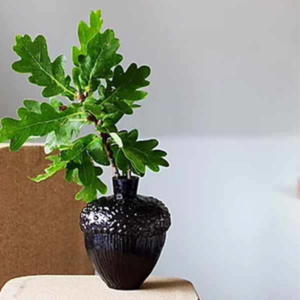 Robur Vase Green - 5