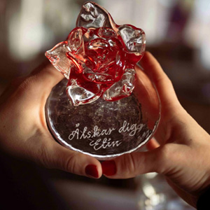 Vacaciones, graduación, bautizo, boda, estudiante, pascua  