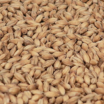 Pilsnermalt - Castle Malting 1 kg