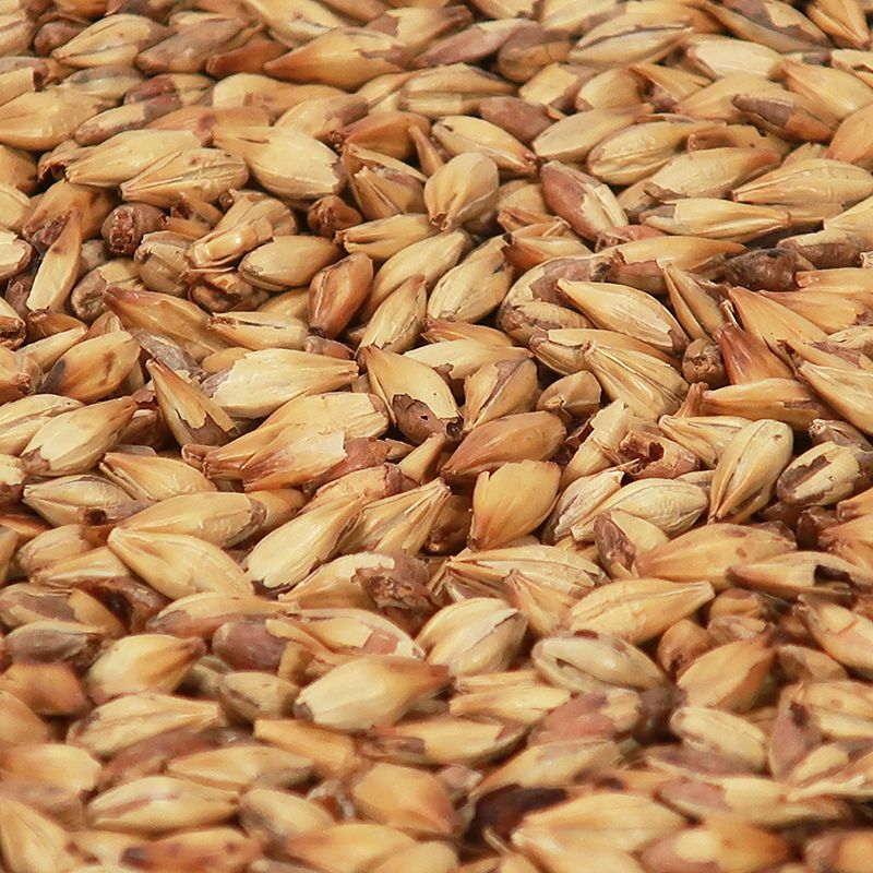 Cara Blond - Castle Malting 1 kg