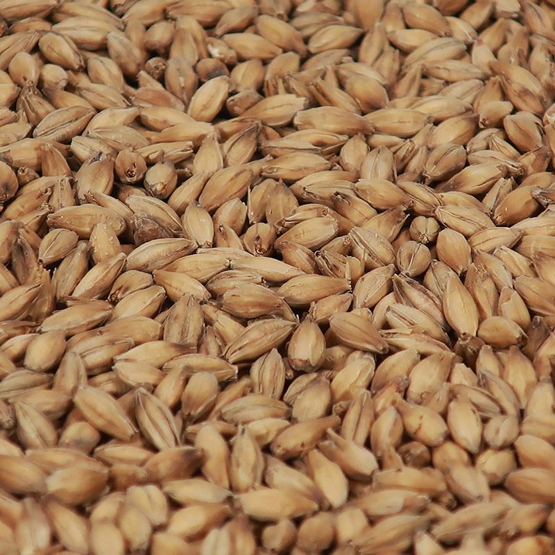 Pale Ale Malt - Castle Malting 1 kg