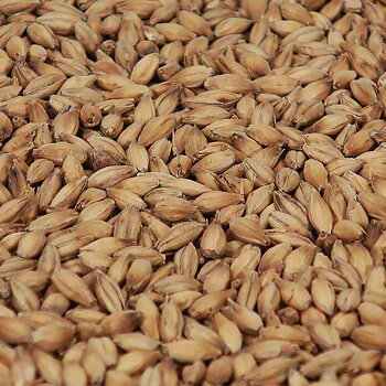 Pale Ale Malt - Castle Malting 1 kg