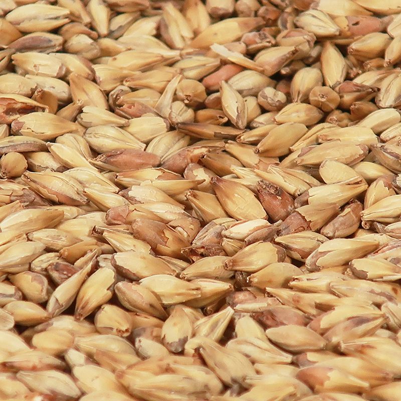 Cara Clair Malt - Castle Malting 1 kg